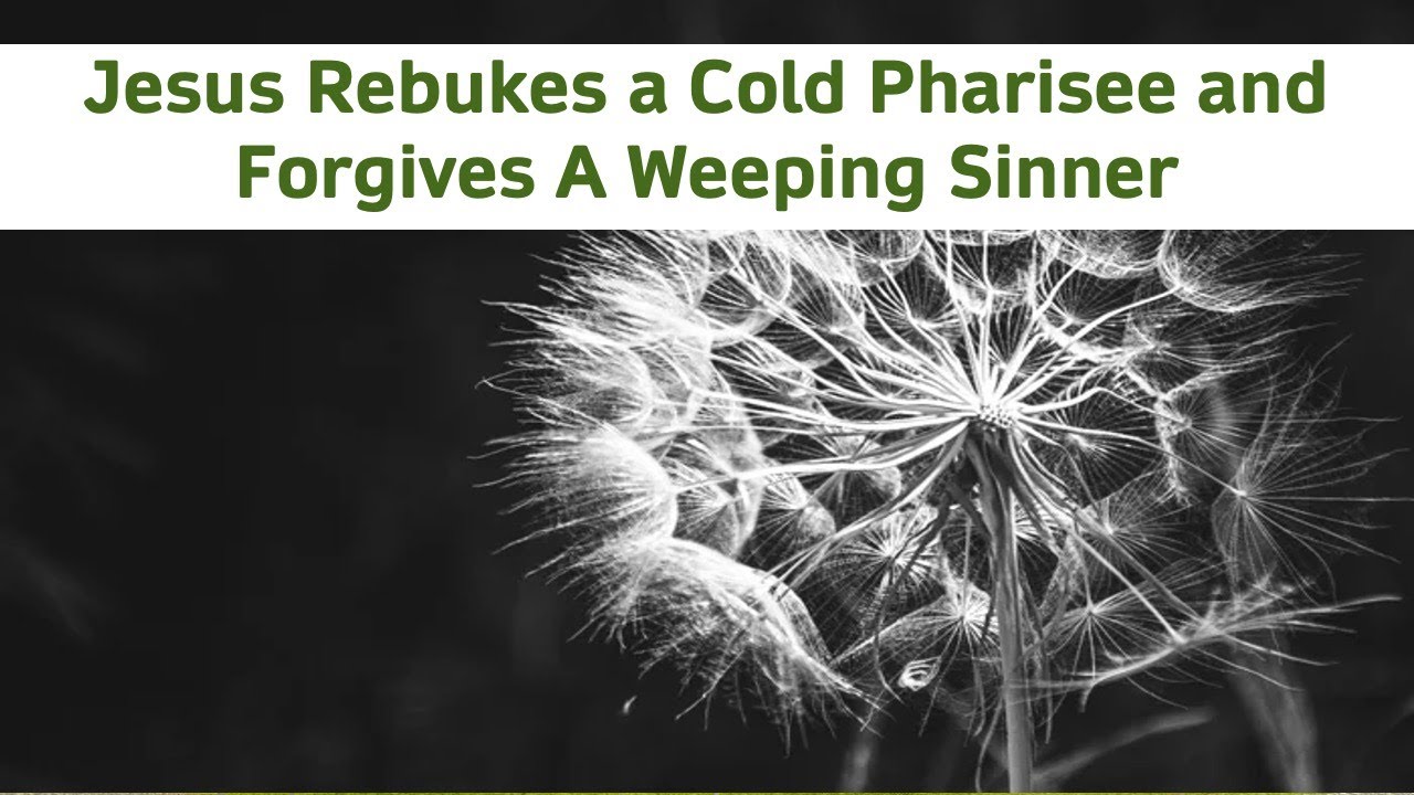 Jesus Rebukes a Cold Pharisee and Forgives A Weeping Sinner (Luke 7:36-50)