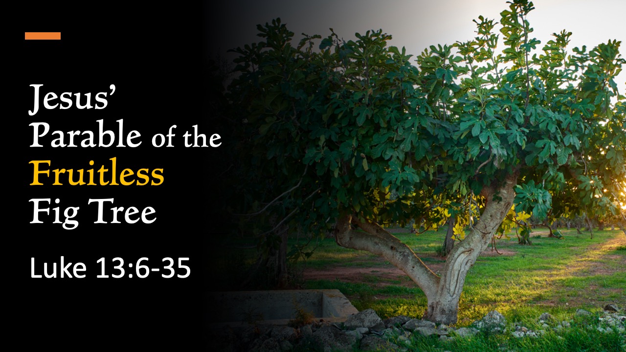 Jesus’ Parable of the Fruitless Fig Tree (Luke 13:6-35)